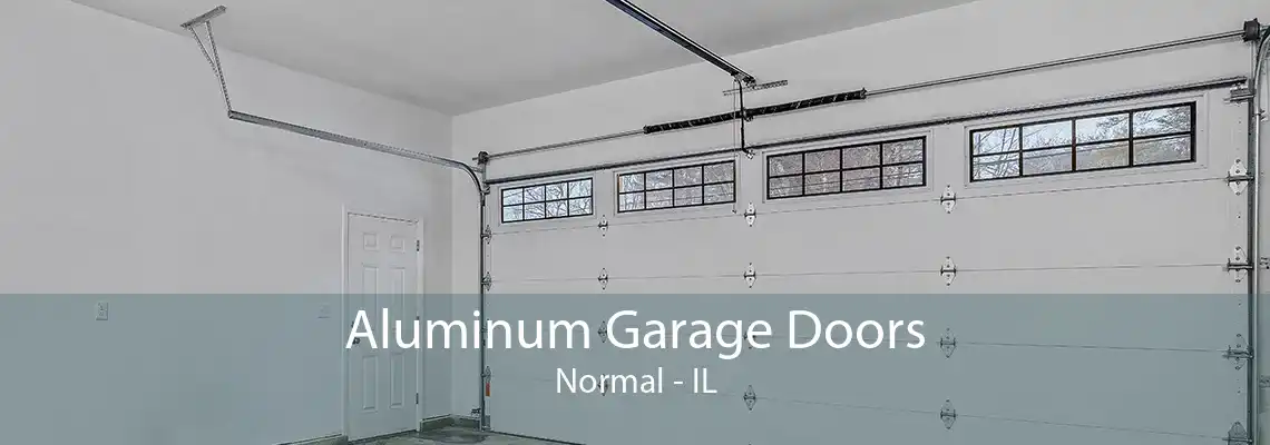 Aluminum Garage Doors Normal - IL