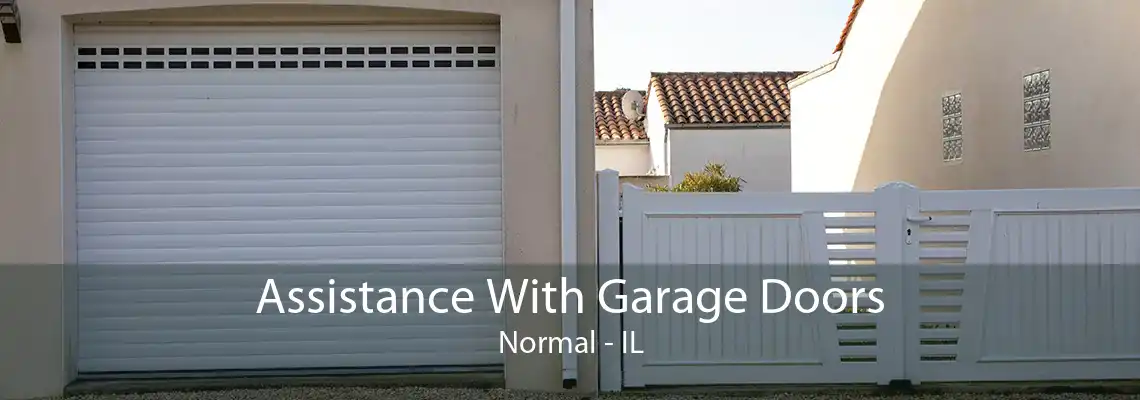 Assistance With Garage Doors Normal - IL