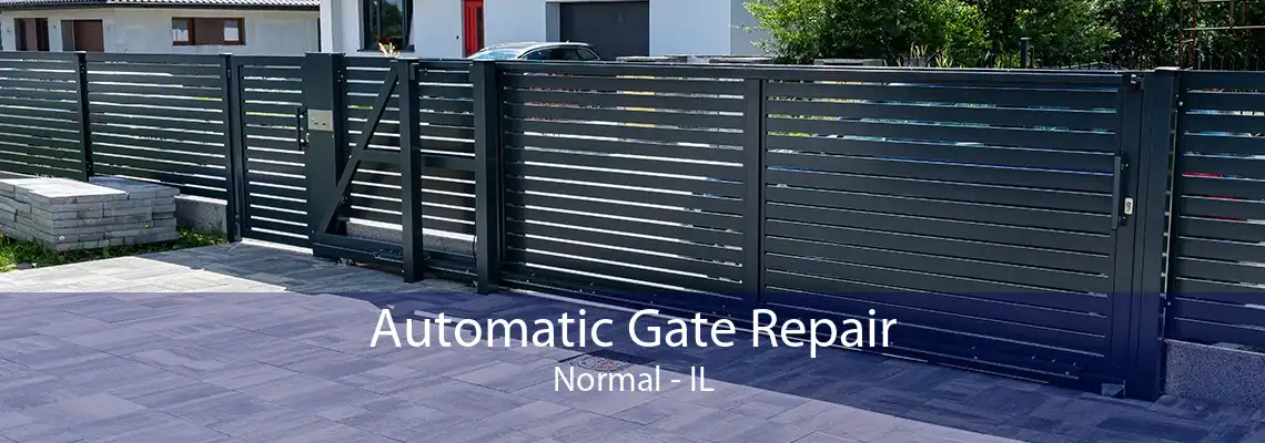 Automatic Gate Repair Normal - IL