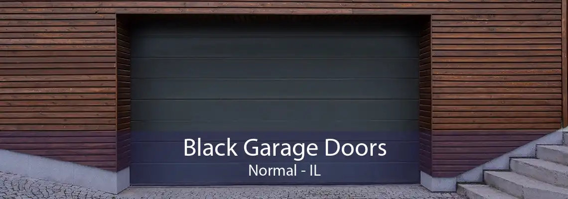 Black Garage Doors Normal - IL