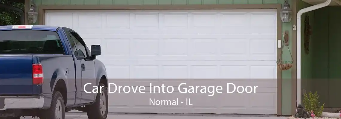 Car Drove Into Garage Door Normal - IL