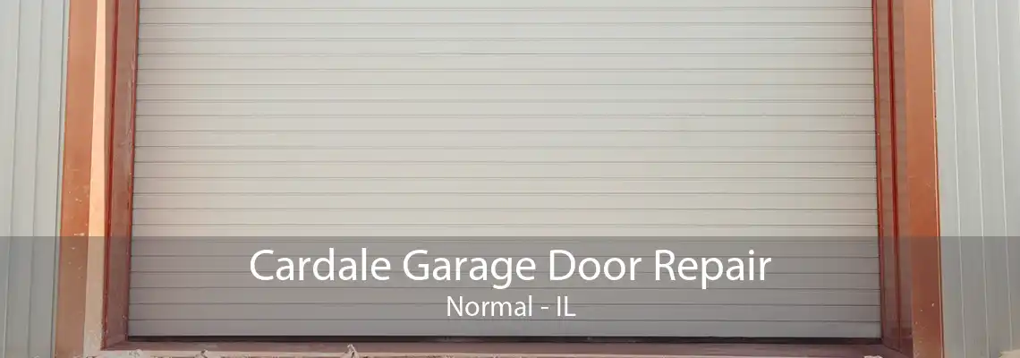 Cardale Garage Door Repair Normal - IL