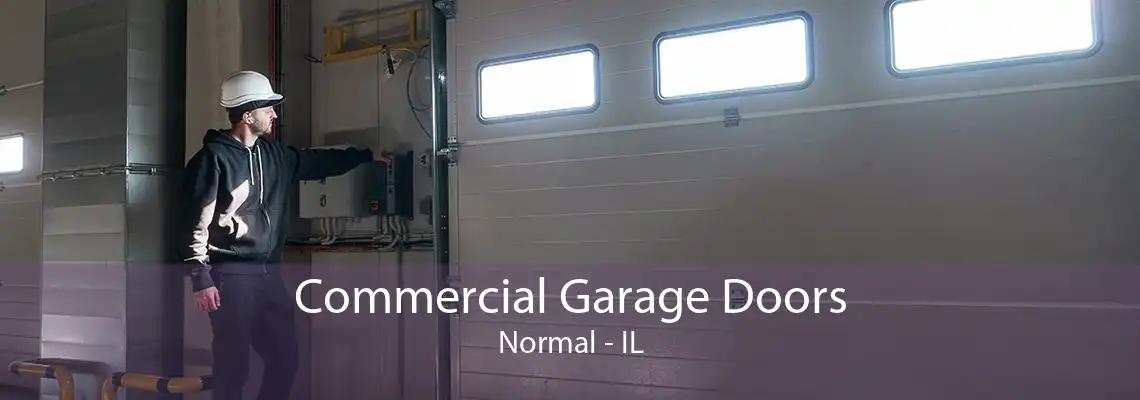 Commercial Garage Doors Normal - IL