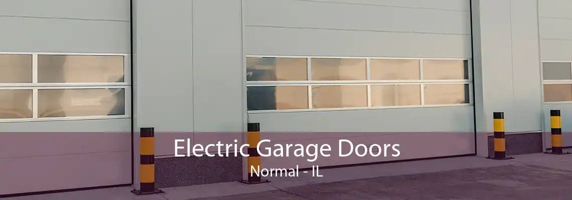 Electric Garage Doors Normal - IL