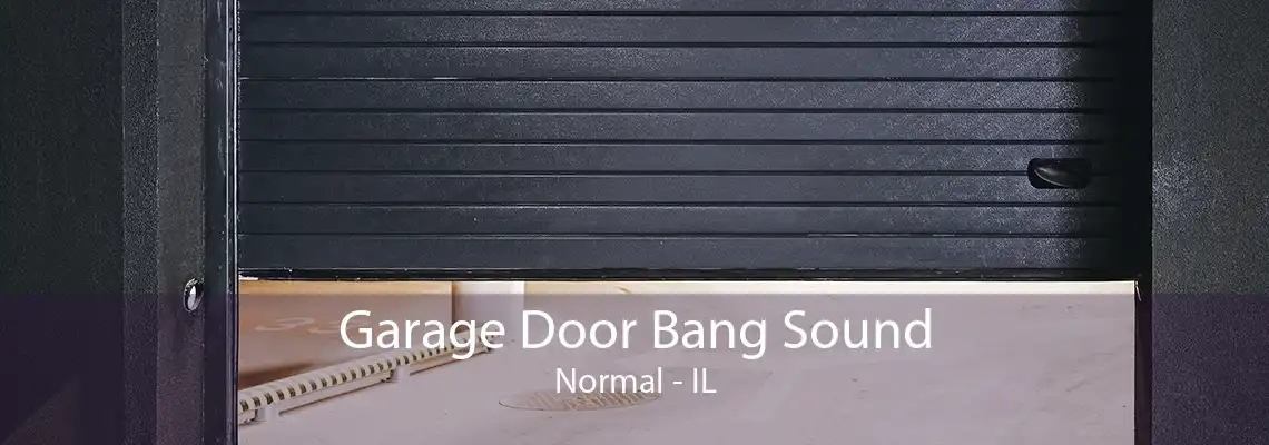 Garage Door Bang Sound Normal - IL