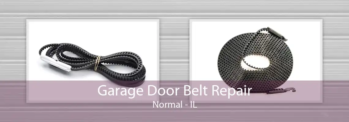 Garage Door Belt Repair Normal - IL