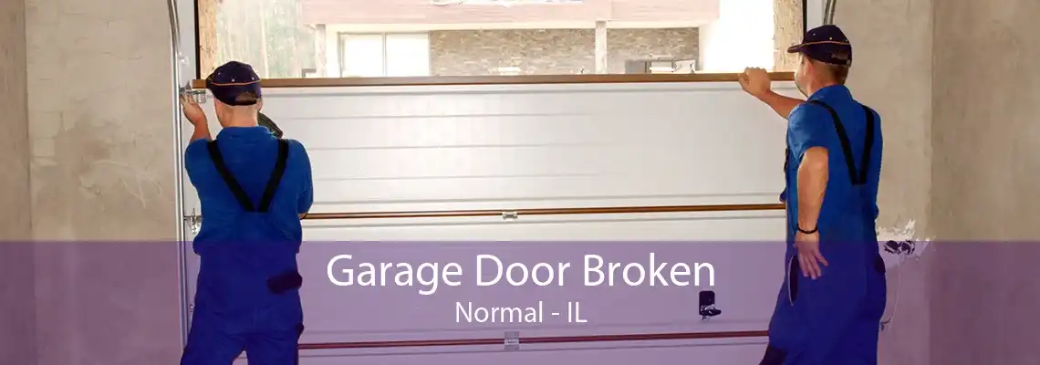 Garage Door Broken Normal - IL