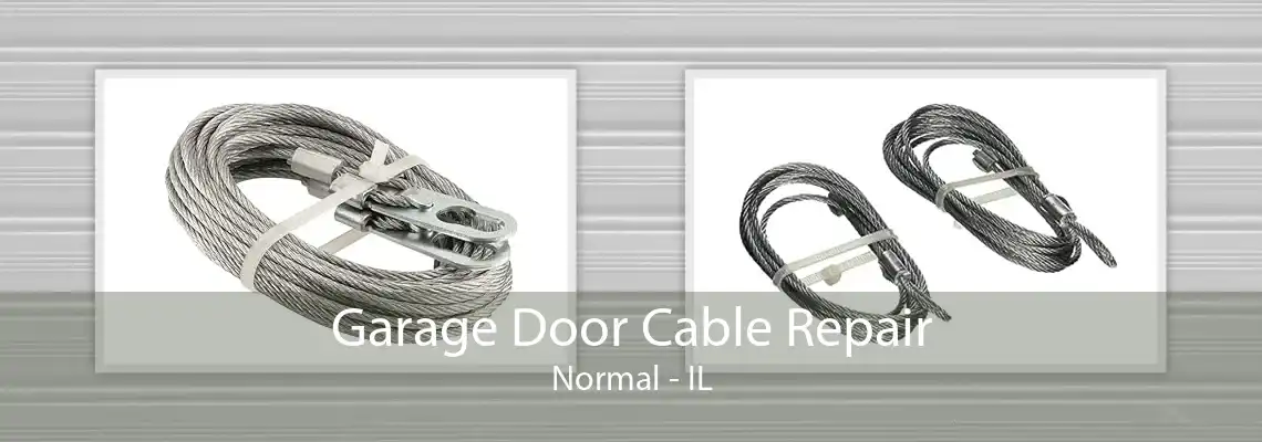 Garage Door Cable Repair Normal - IL