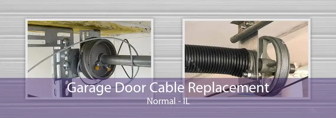 Garage Door Cable Replacement Normal - IL