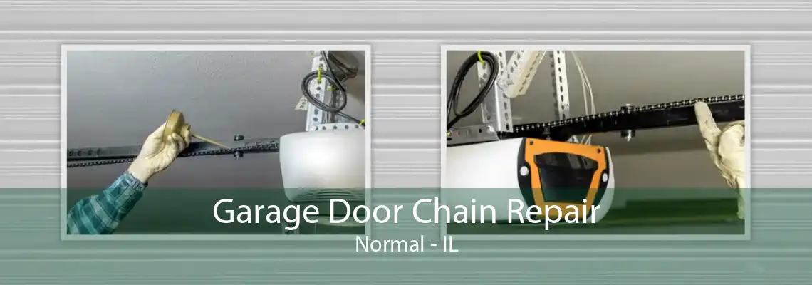 Garage Door Chain Repair Normal - IL