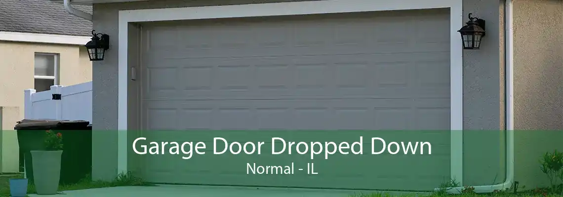 Garage Door Dropped Down Normal - IL