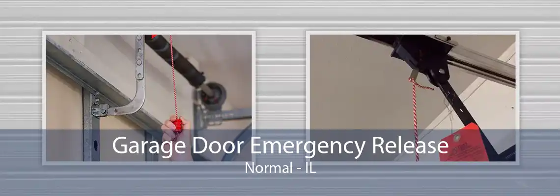 Garage Door Emergency Release Normal - IL