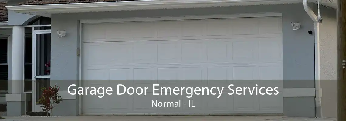 Garage Door Emergency Services Normal - IL