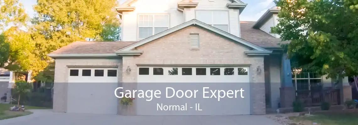 Garage Door Expert Normal - IL