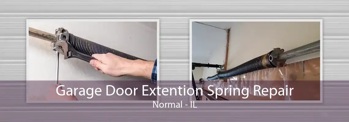 Garage Door Extention Spring Repair Normal - IL