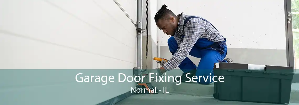 Garage Door Fixing Service Normal - IL