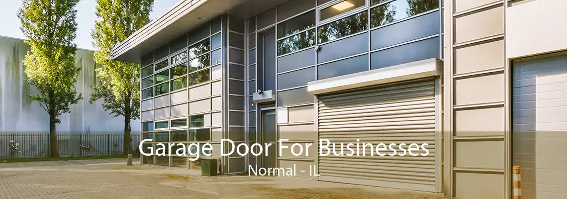 Garage Door For Businesses Normal - IL