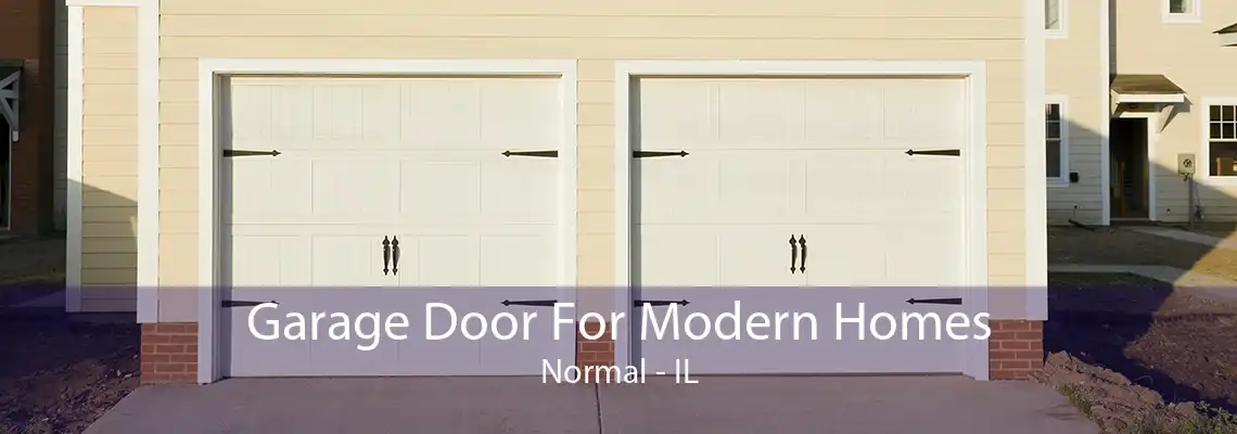 Garage Door For Modern Homes Normal - IL