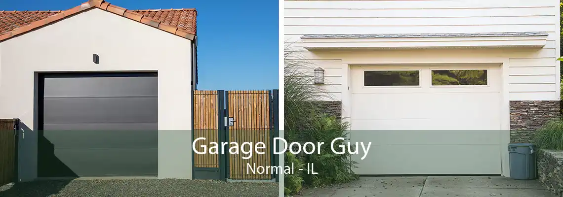 Garage Door Guy Normal - IL