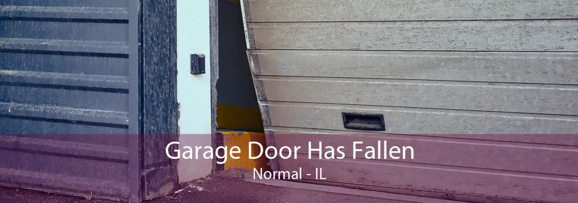 Garage Door Has Fallen Normal - IL