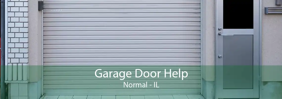 Garage Door Help Normal - IL