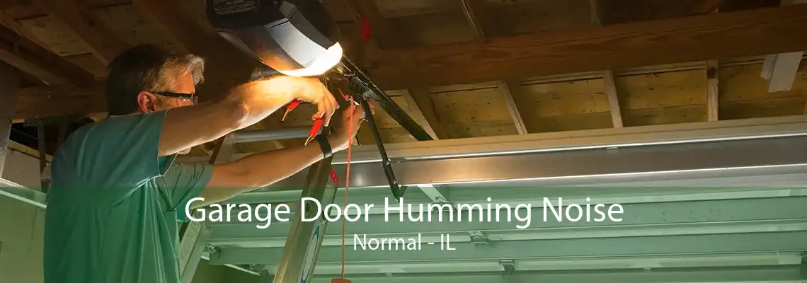 Garage Door Humming Noise Normal - IL