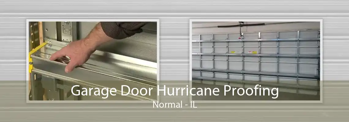 Garage Door Hurricane Proofing Normal - IL