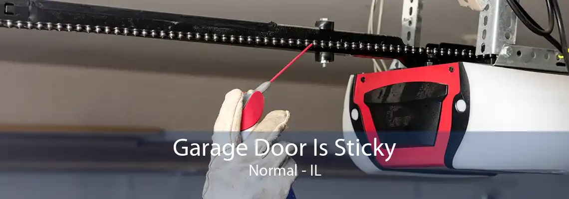 Garage Door Is Sticky Normal - IL