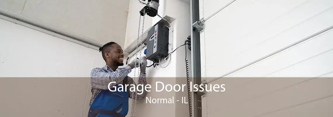 Garage Door Issues Normal - IL