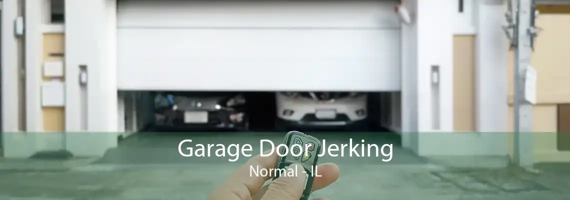 Garage Door Jerking Normal - IL