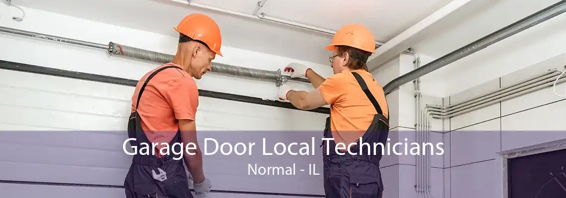 Garage Door Local Technicians Normal - IL