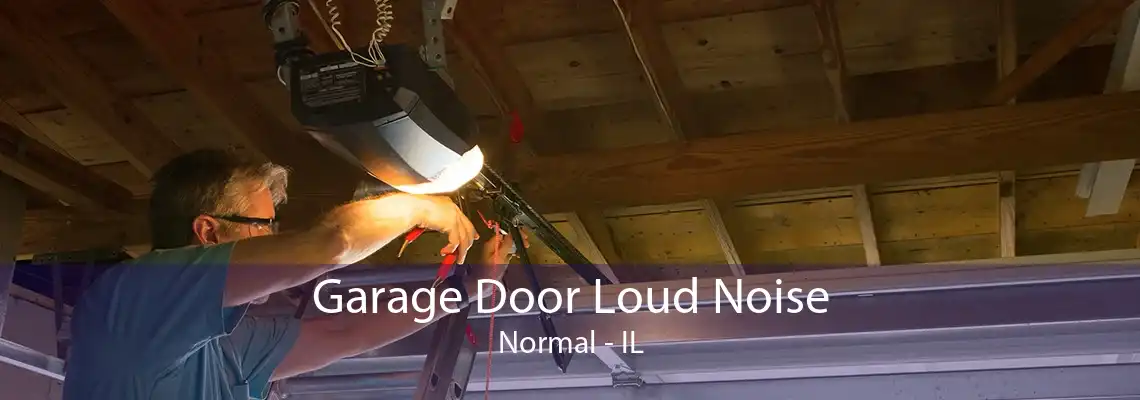 Garage Door Loud Noise Normal - IL