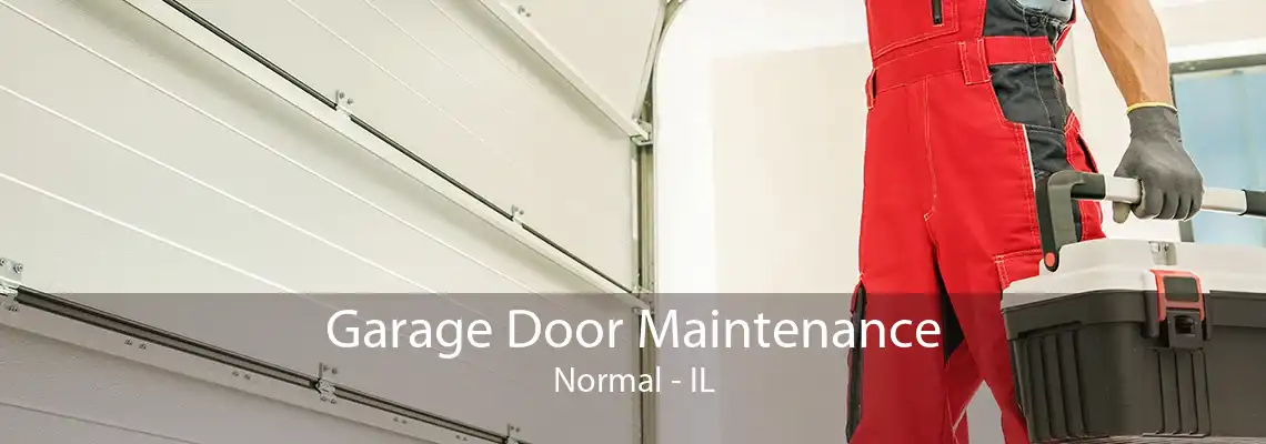 Garage Door Maintenance Normal - IL