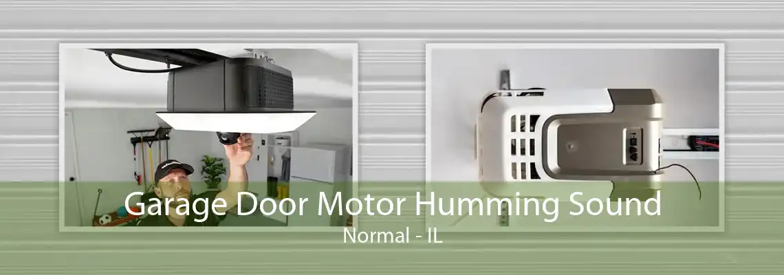 Garage Door Motor Humming Sound Normal - IL