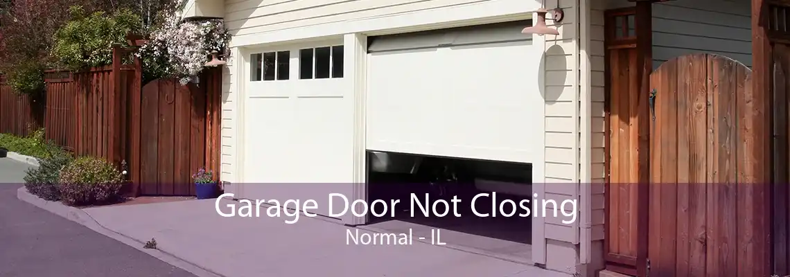 Garage Door Not Closing Normal - IL