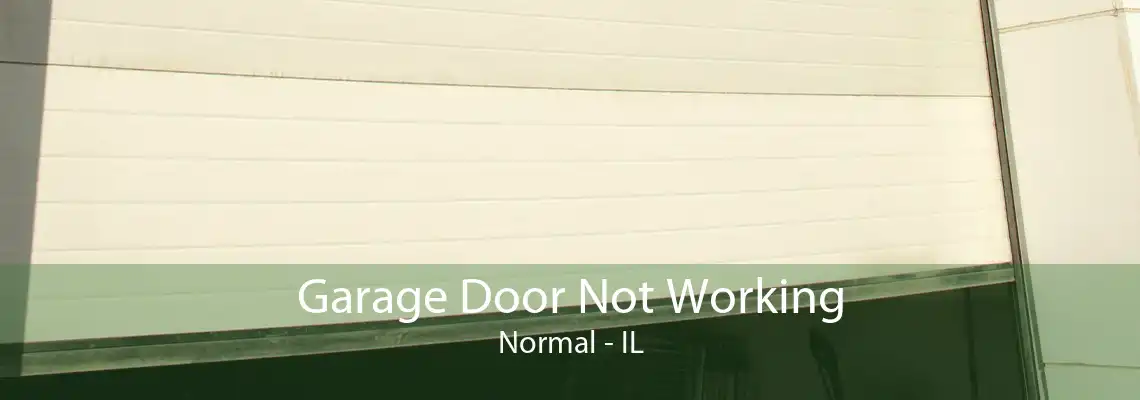 Garage Door Not Working Normal - IL