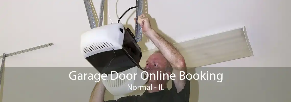 Garage Door Online Booking Normal - IL