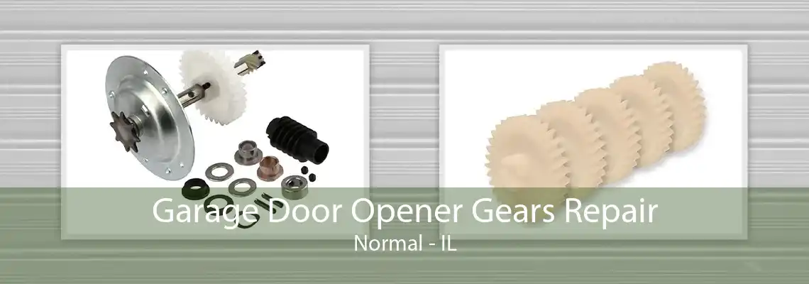 Garage Door Opener Gears Repair Normal - IL