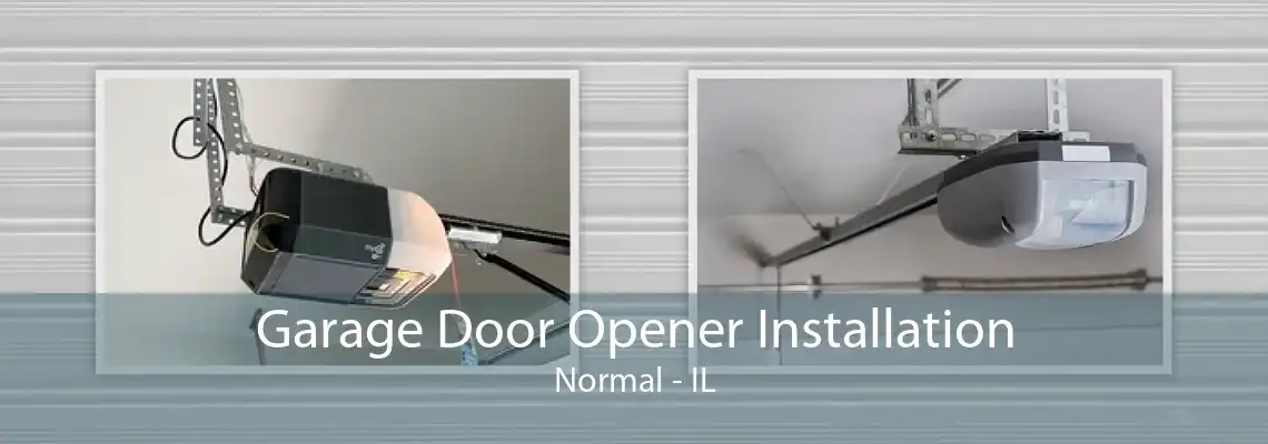 Garage Door Opener Installation Normal - IL