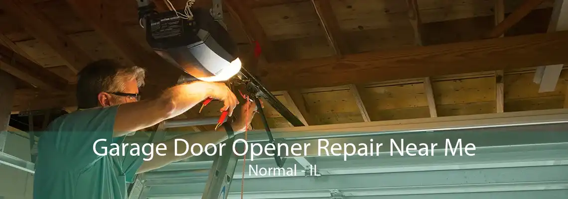 Garage Door Opener Repair Near Me Normal - IL