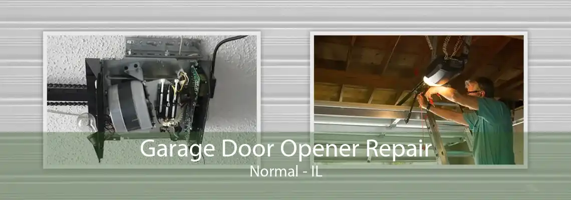 Garage Door Opener Repair Normal - IL