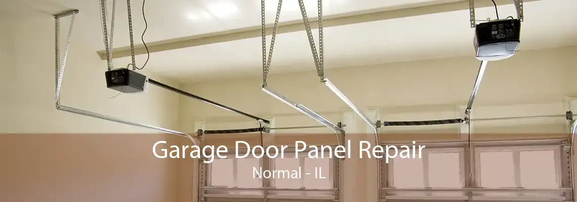 Garage Door Panel Repair Normal - IL