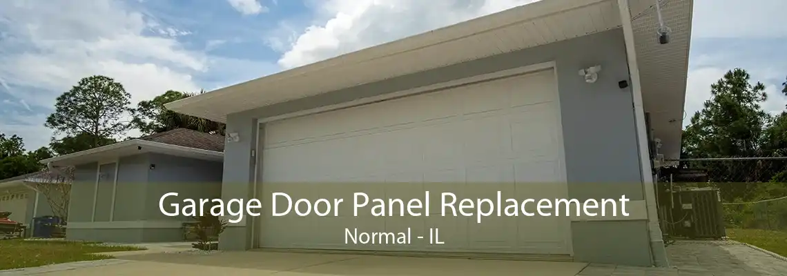 Garage Door Panel Replacement Normal - IL