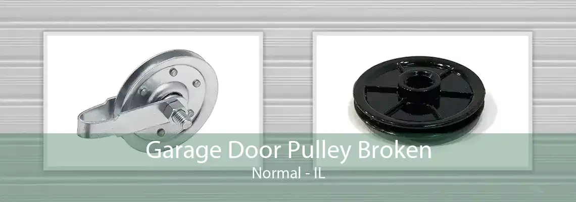 Garage Door Pulley Broken Normal - IL