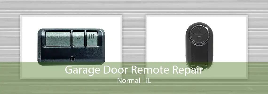 Garage Door Remote Repair Normal - IL