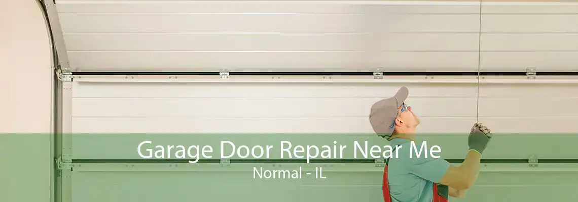 Garage Door Repair Near Me Normal - IL