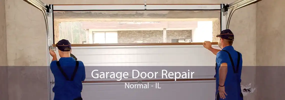 Garage Door Repair Normal - IL