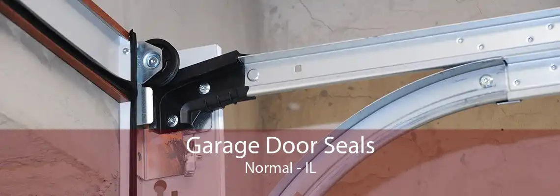 Garage Door Seals Normal - IL