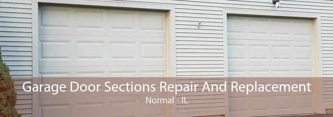 Garage Door Sections Repair And Replacement Normal - IL