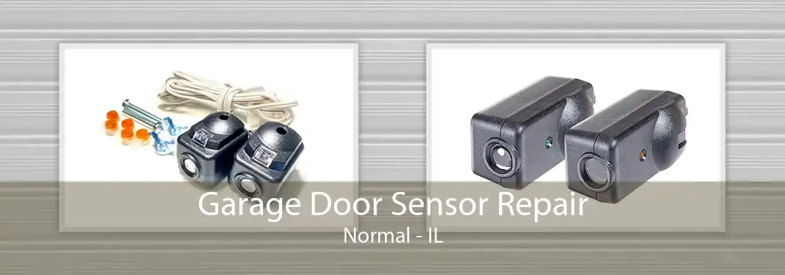 Garage Door Sensor Repair Normal - IL